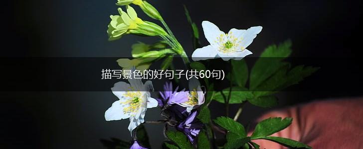 描写景色的好句子(共60句),第1张