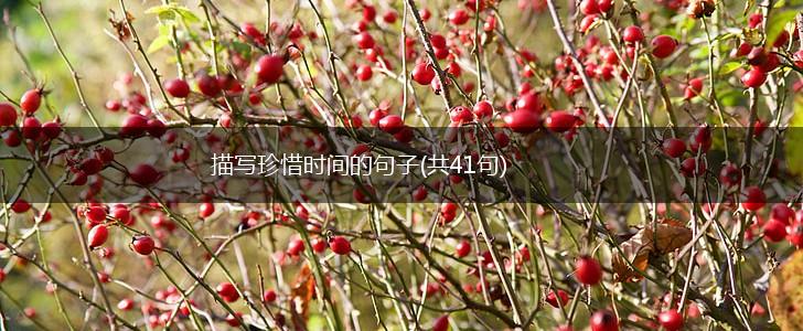 描写珍惜时间的句子(共41句),第1张