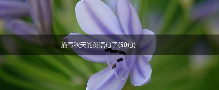 描写秋天的英语句子(50句),第1张