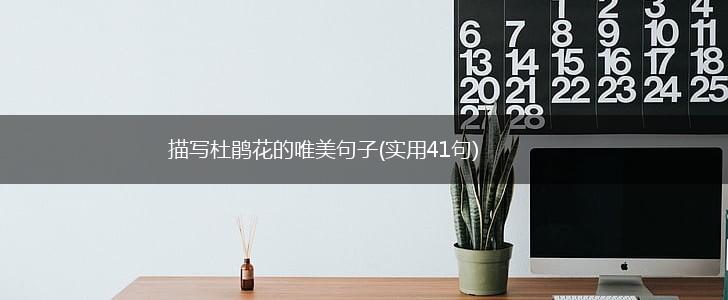 描写杜鹃花的唯美句子(实用41句),第1张