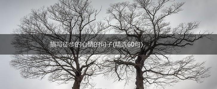 描写徒步的心情的句子(精选60句),第1张