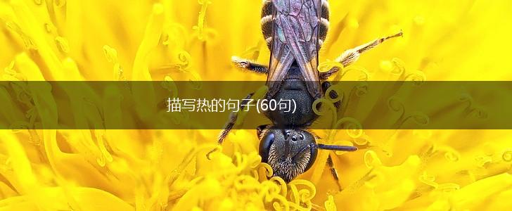 描写热的句子(60句),第1张