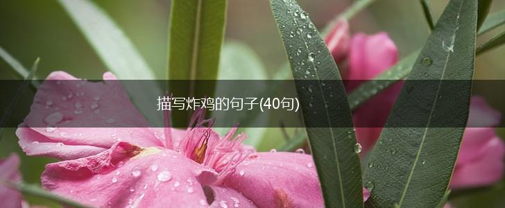描写炸鸡的句子(40句),第1张