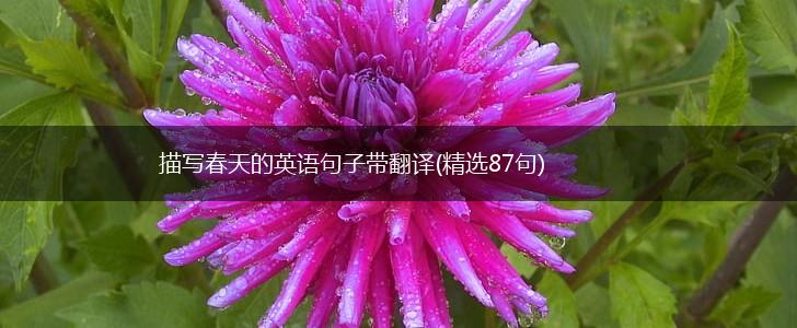 描写春天的英语句子带翻译(精选87句),第1张