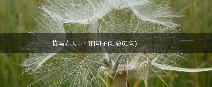 描写春天草坪的句子(汇总61句),第1张