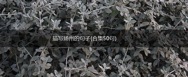 描写扬州的句子(合集50句),第1张