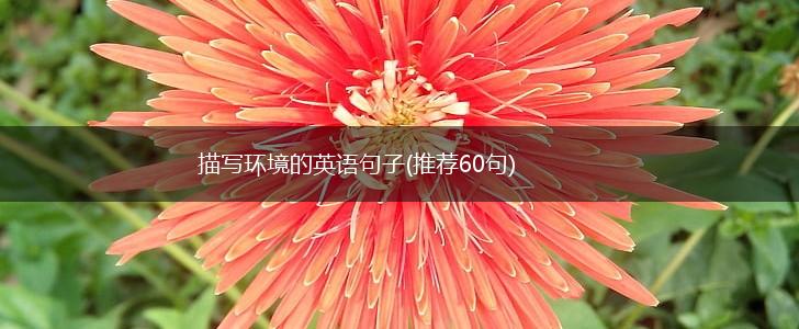 描写环境的英语句子(推荐60句),第1张