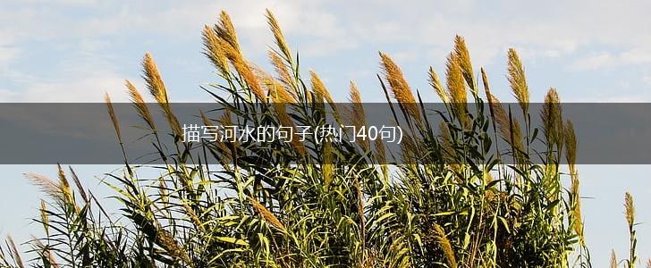 描写河水的句子(热门40句),第1张
