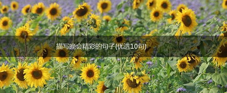 描写晚会精彩的句子(优选10句),第1张