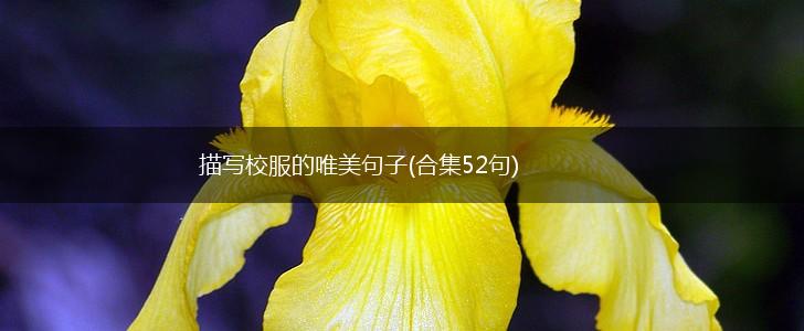 描写校服的唯美句子(合集52句),第1张