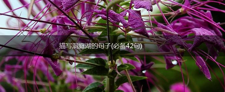 描写洞庭湖的句子(必备42句),第1张