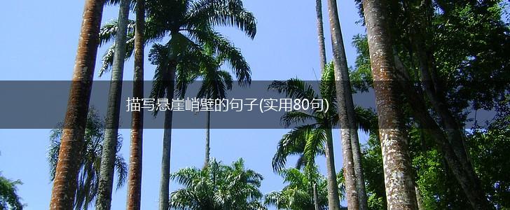 描写悬崖峭壁的句子(实用80句),第1张