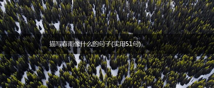 描写春雨像什么的句子(实用51句),第1张
