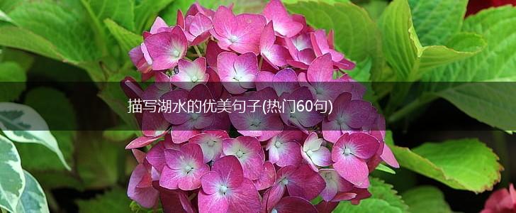 描写湖水的优美句子(热门60句),第1张