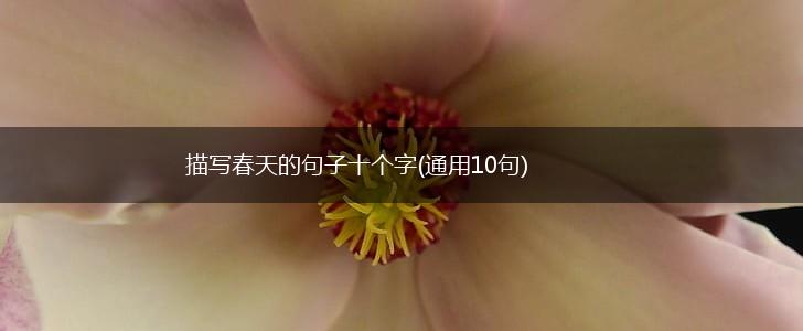 描写春天的句子十个字(通用10句),第1张