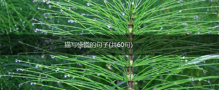 描写惊慌的句子(共60句),第1张