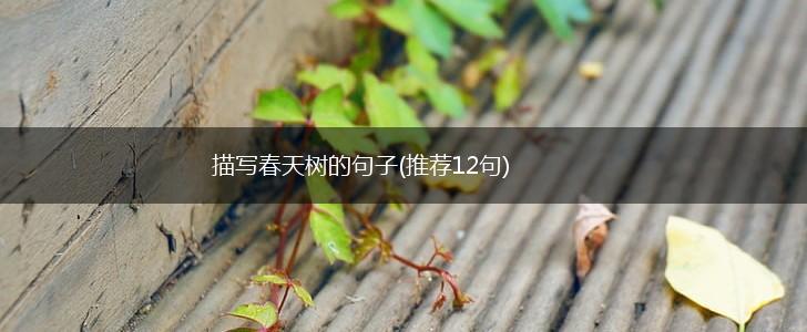 描写春天树的句子(推荐12句),第1张