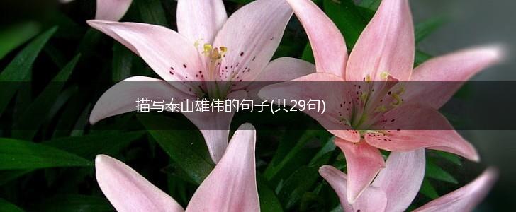 描写泰山雄伟的句子(共29句),第1张