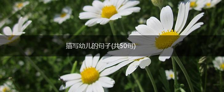 描写幼儿的句子(共50句),第1张