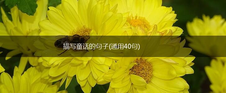描写童话的句子(通用40句),第1张