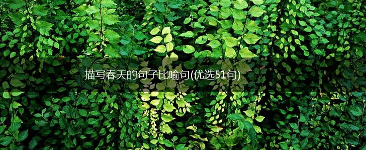 描写春天的句子比喻句(优选51句),第1张