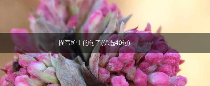 描写护士的句子(优选40句),第1张