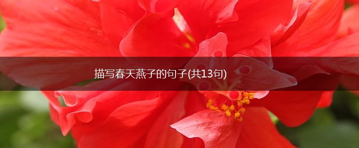 描写春天燕子的句子(共13句),第1张
