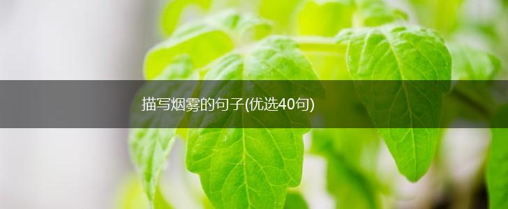 描写烟雾的句子(优选40句),第1张
