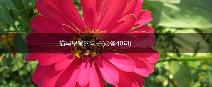 描写早餐的句子(必备40句),第1张