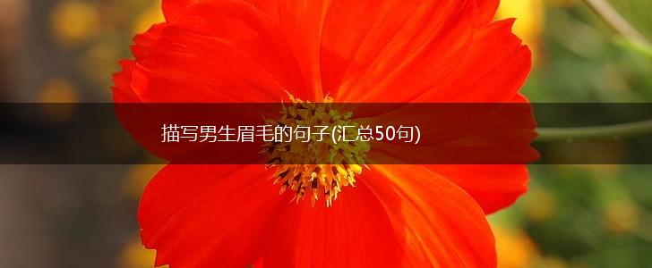 描写男生眉毛的句子(汇总50句),第1张