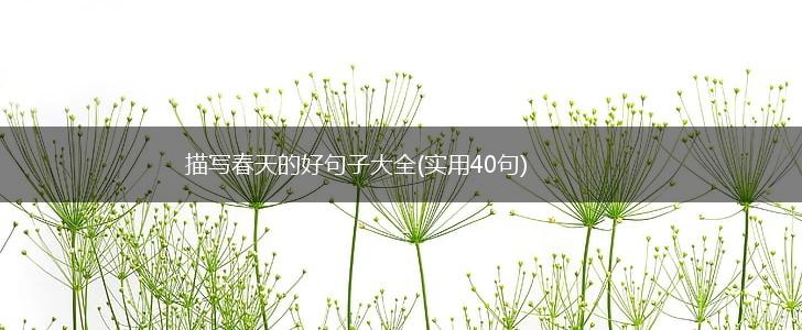 描写春天的好句子大全(实用40句),第1张