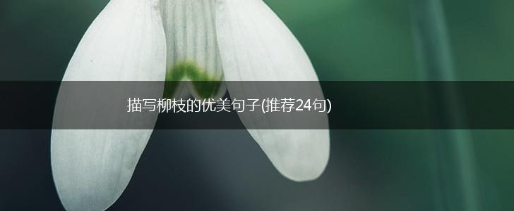 描写柳枝的优美句子(推荐24句),第1张