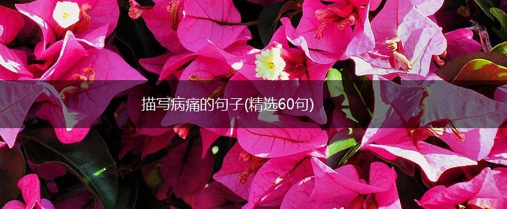 描写病痛的句子(精选60句),第1张