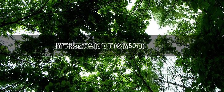 描写樱花颜色的句子(必备50句),第1张