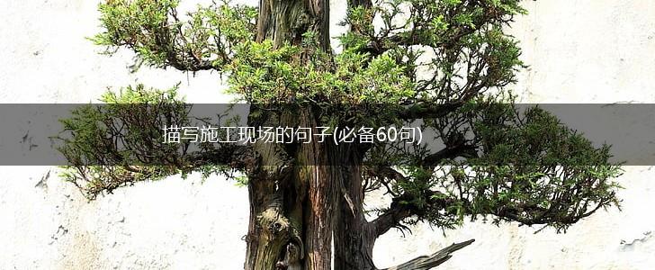 描写施工现场的句子(必备60句),第1张