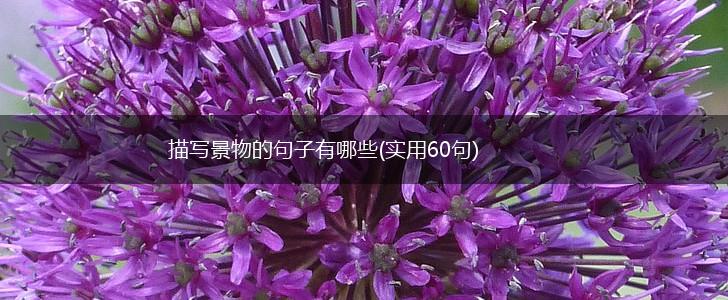 描写景物的句子有哪些(实用60句),第1张