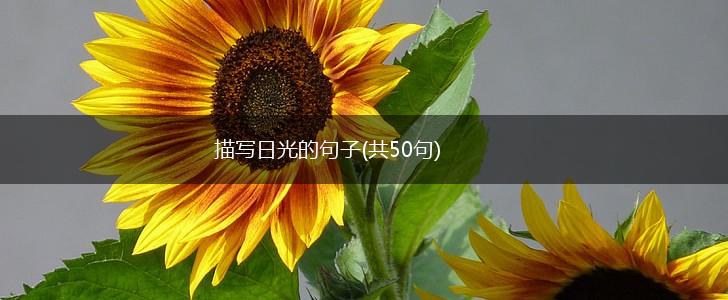 描写日光的句子(共50句),第1张