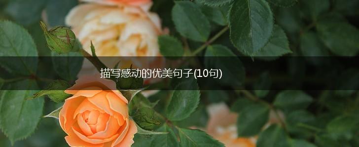 描写感动的优美句子(10句),第1张