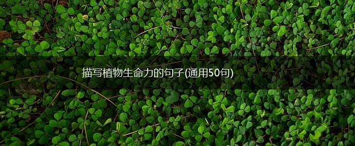 描写植物生命力的句子(通用50句),第1张