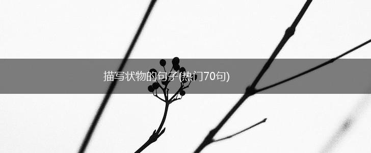 描写状物的句子(热门70句),第1张