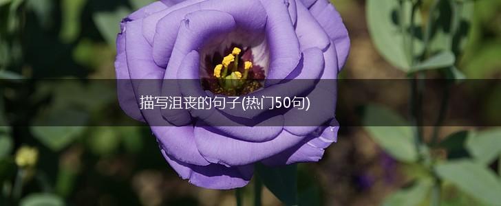 描写沮丧的句子(热门50句),第1张