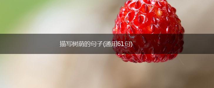 描写树荫的句子(通用61句),第1张
