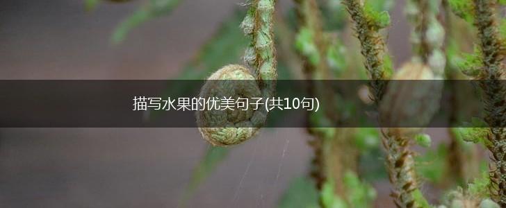 描写水果的优美句子(共10句),第1张