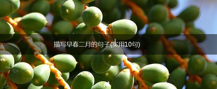 描写早春二月的句子(实用10句),第1张
