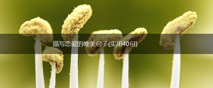 描写恋爱的唯美句子(实用40句),第1张