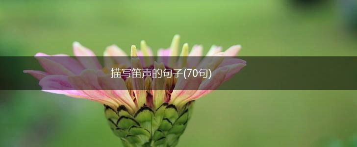 描写笛声的句子(70句),第1张