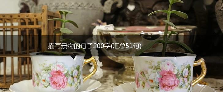 描写景物的句子200字(汇总51句),第1张