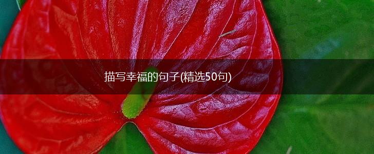 描写幸福的句子(精选50句),第1张