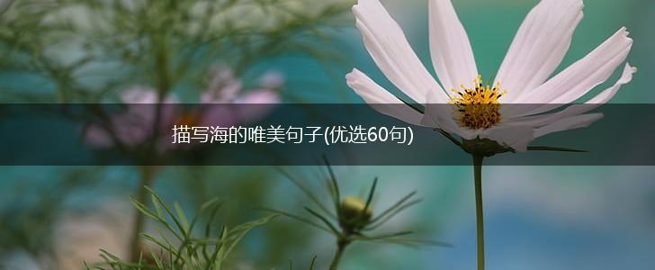 描写海的唯美句子(优选60句),第1张