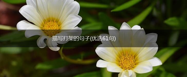 描写打架的句子(优选61句),第1张